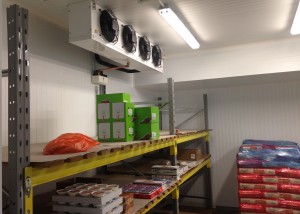 Chiller and Freezer Cold Room in Twickenham