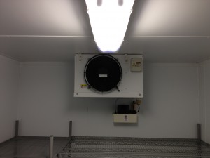 Seaford Chiller 2